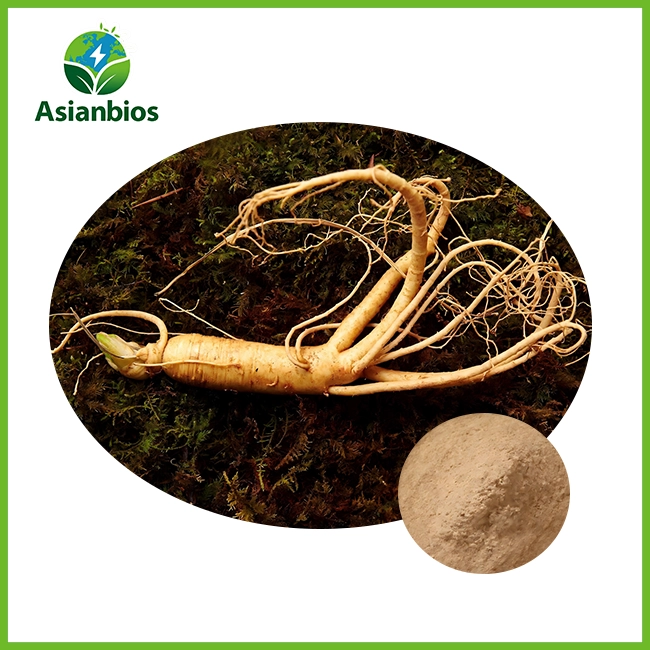 Ginseng plant extract